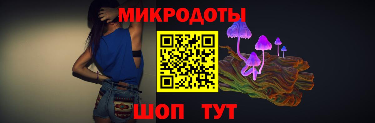 Галлюциногенные грибы Psilocybe Воркута